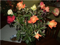 3a1903e2-Picture 3542.jpg